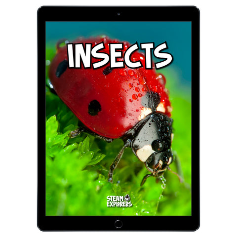 Insects Ebook Unit Study by STEAM Explorers