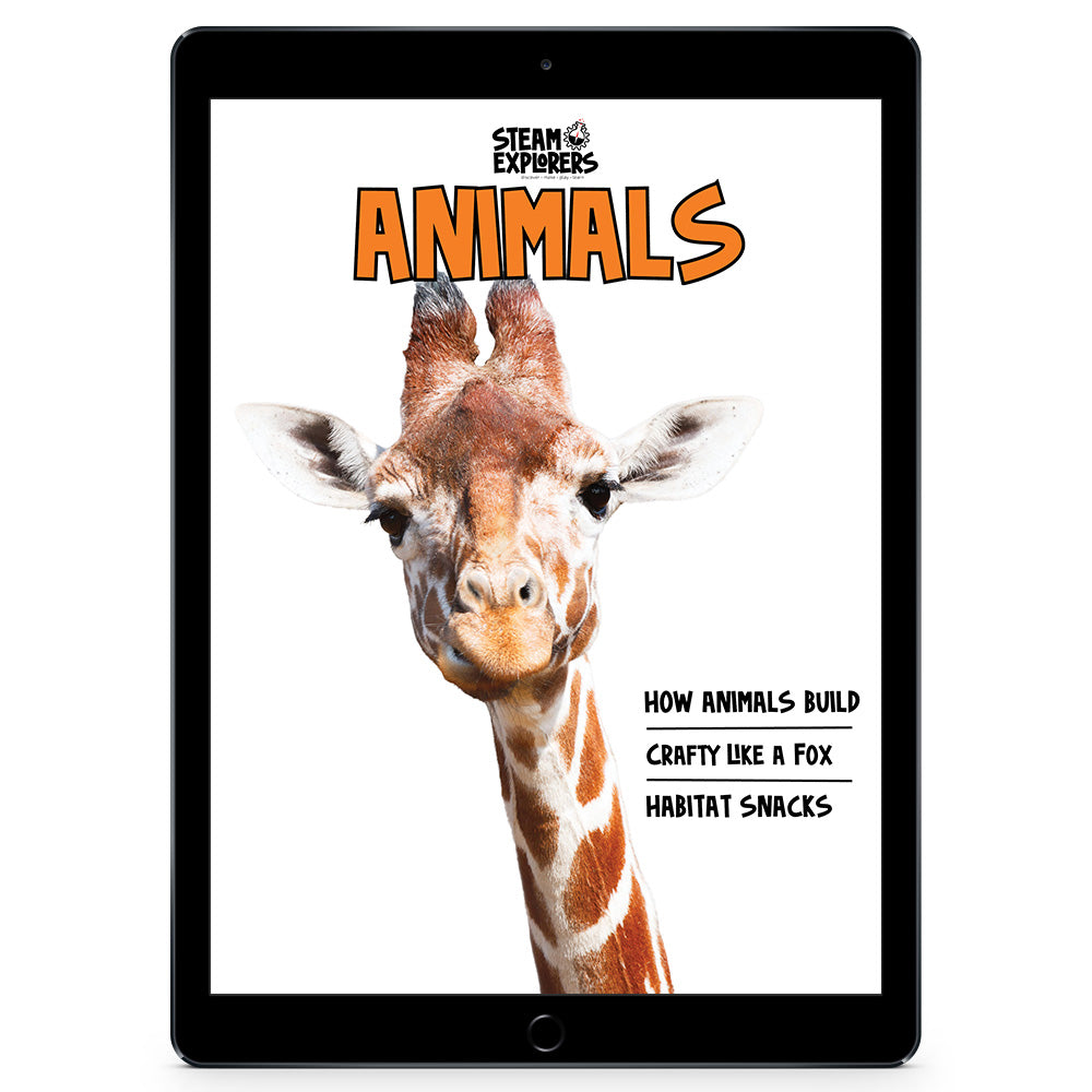 Animals Ebook by STEAM Explorers