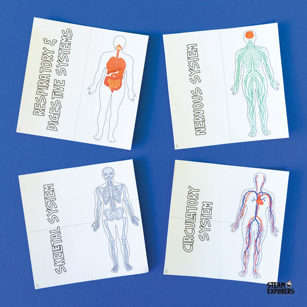 Human Body Ebook Unit Study by STEAM Explorers